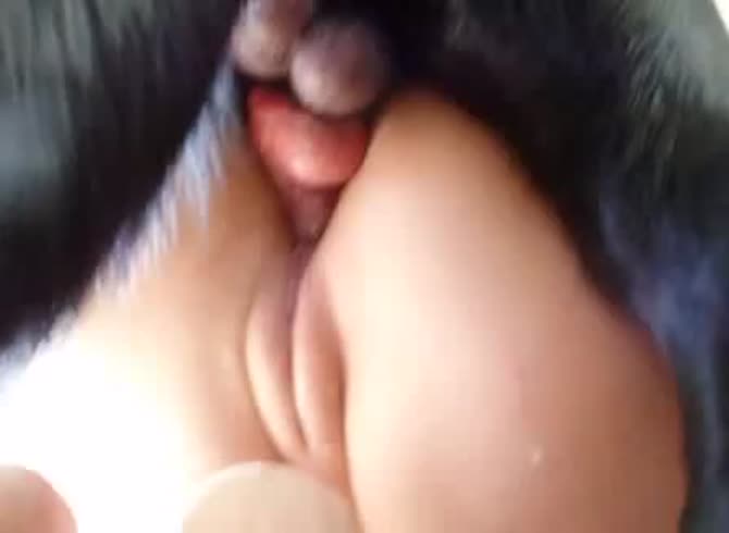 Video :Lady's fat and juicy pussy got banged in dog sex